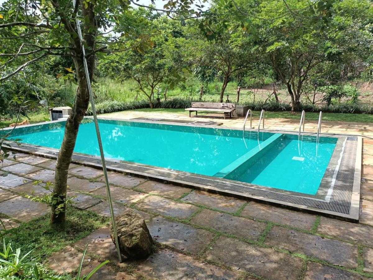 הבאראנה Spice Village Hotel & Restaurant מראה חיצוני תמונה